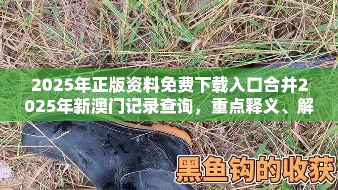 2025年正版资料免费下载入口合并2025年新澳门记录查询，重点释义、解释与落实,警惕不实的钓鱼钩